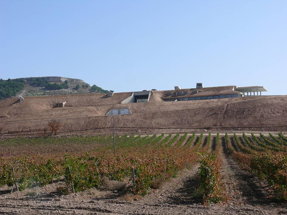 Entrecastillos, el nuevo proyecto enológico de Bodegas Yllera