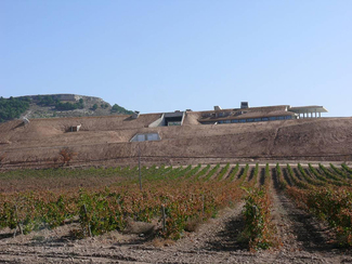 Entrecastillos, el nuevo proyecto enológico de Bodegas Yllera