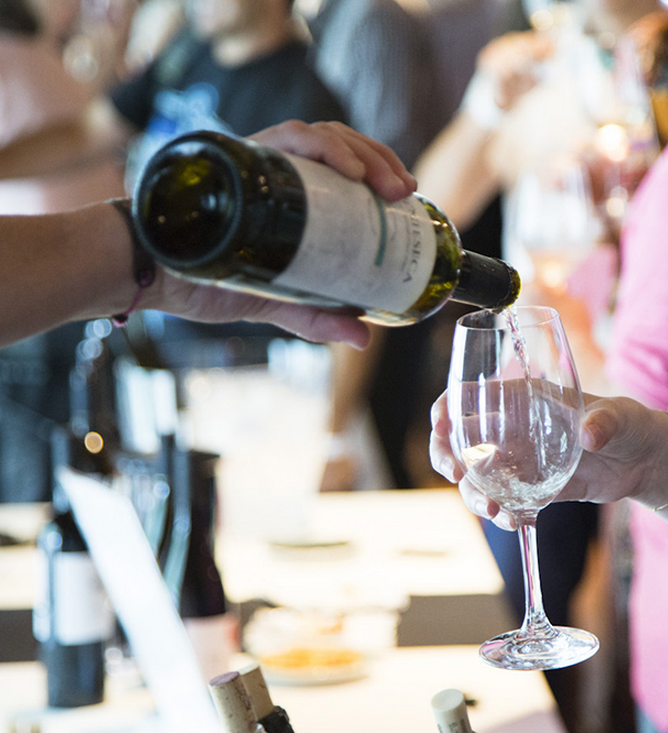 ¡Búscate en las fotos de Placer Bobal 2015!