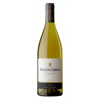 Hoya de Cadenas Chardonnay 2013