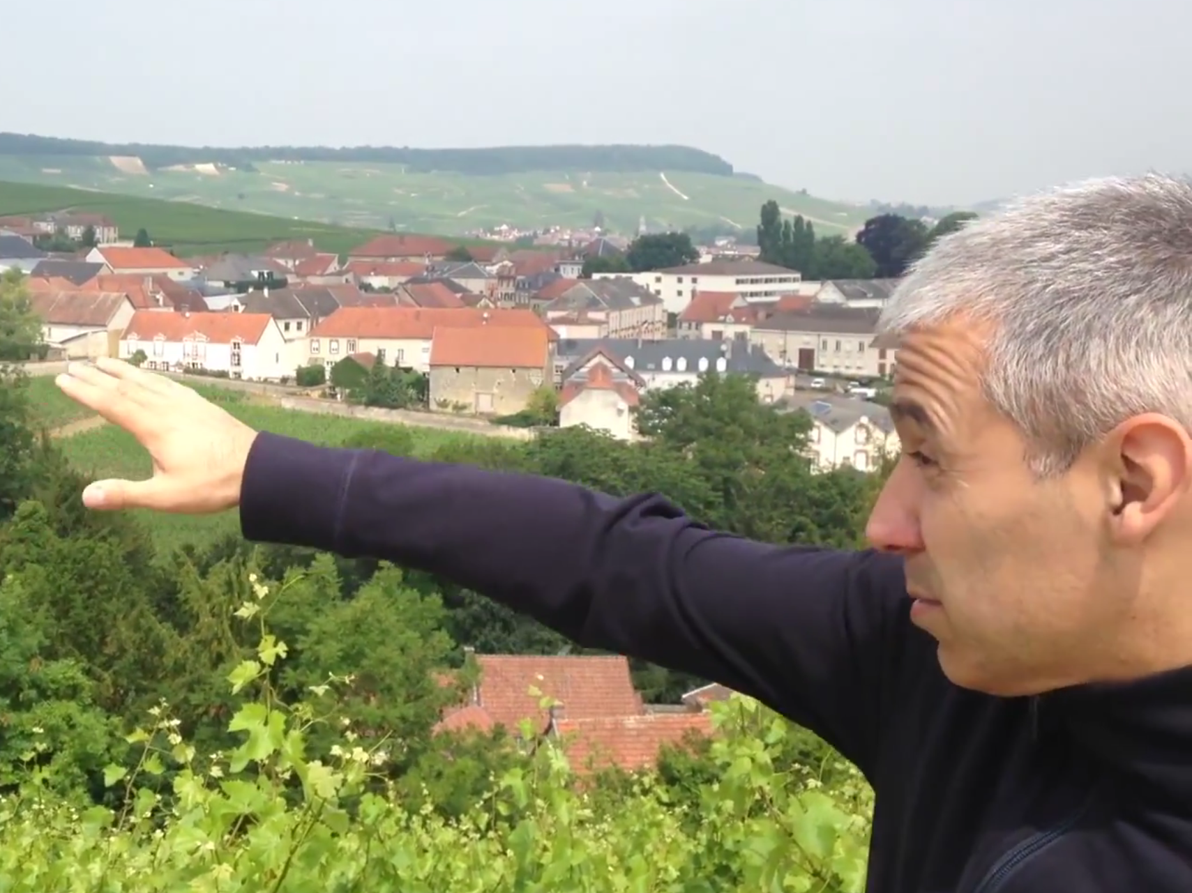 Champagne - Cote des Blancs