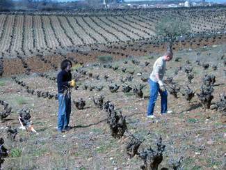 Los dos enólogos y fundadores