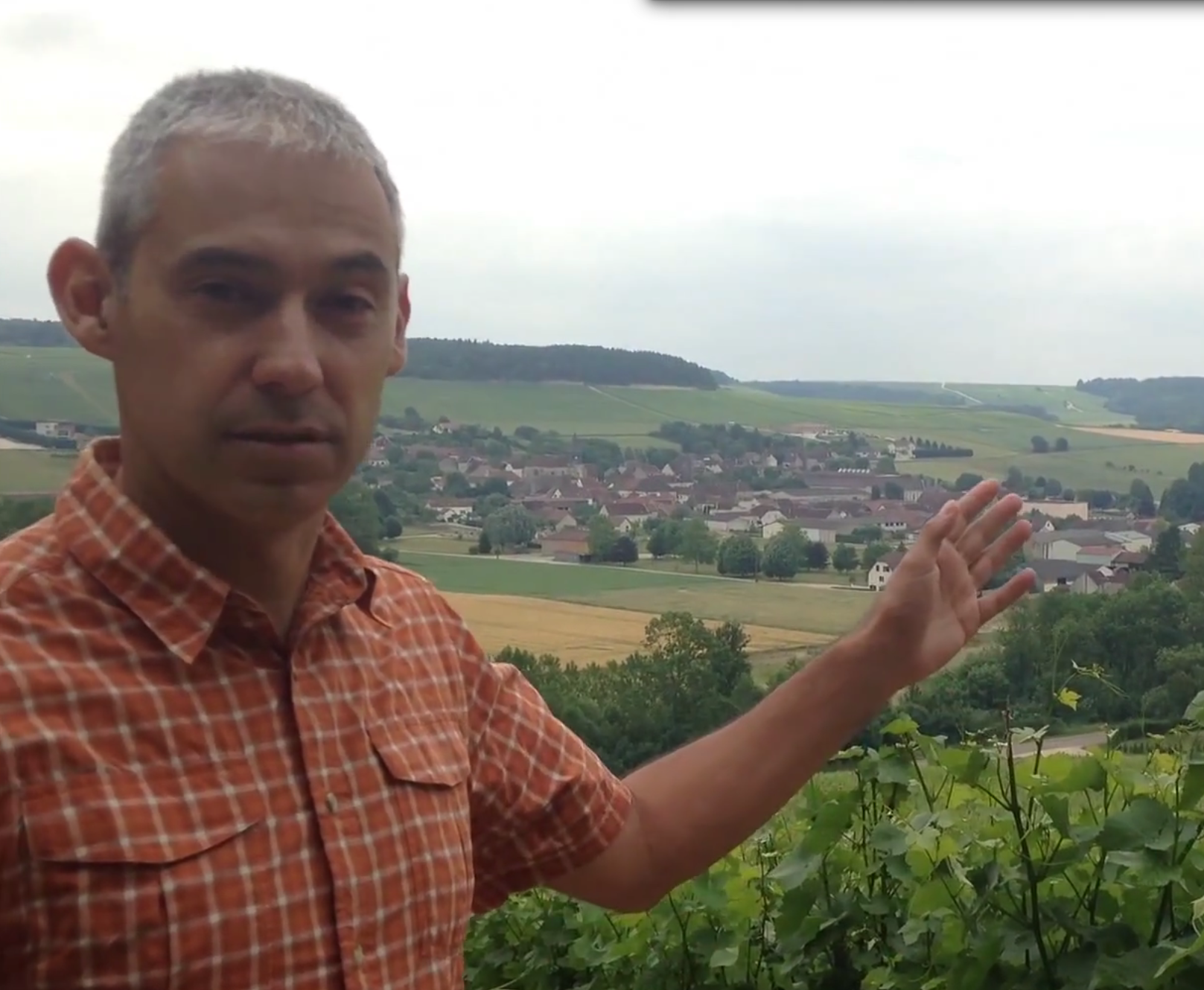 Champagne - Cote des Bar