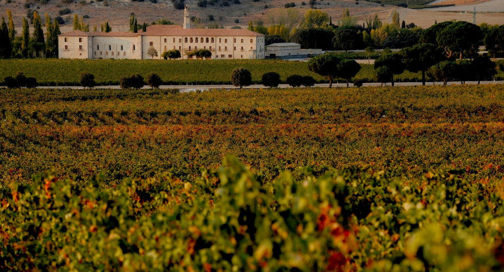 Vendimia Solidaria, el nuevo vino de Abadía Retuerta