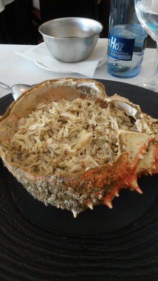 Centollo