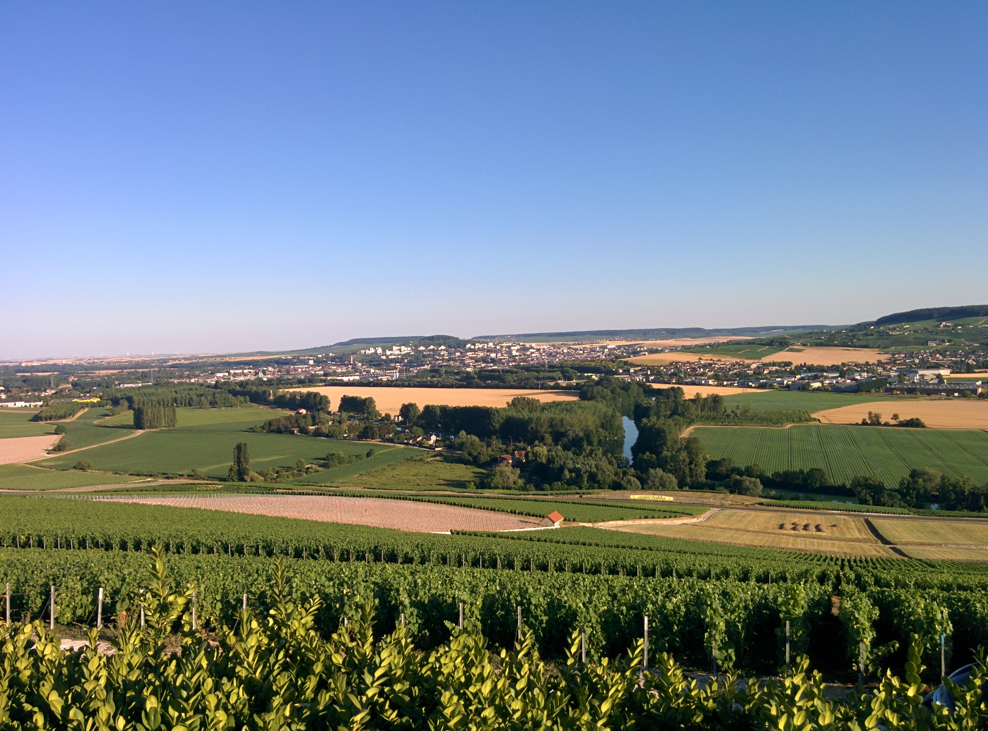 Escapada a Champagne II.- Visita a Bodegas Faniel Filaine y Marcel Moineaux