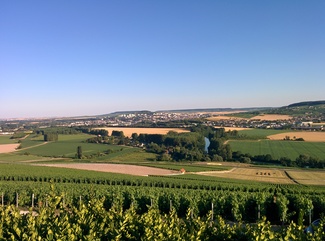Escapada a Champagne II.- Visita a Bodegas Faniel Filaine y Marcel Moineaux