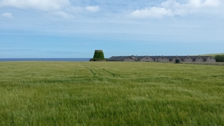 Visitas a destilerías