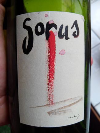 Sorus (de la selección CARADIGNA) 1998