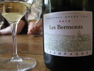 Les Bermonts 2010