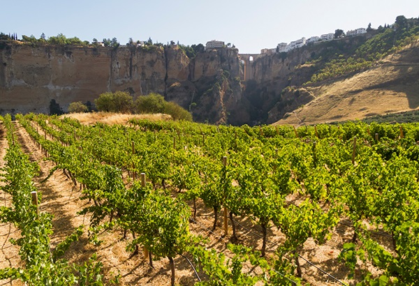 Temporada estival época de celebraciones