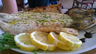 Aurelio_Gómez-MIranda_Albufeira_Casa_del_Mar_Róbalo