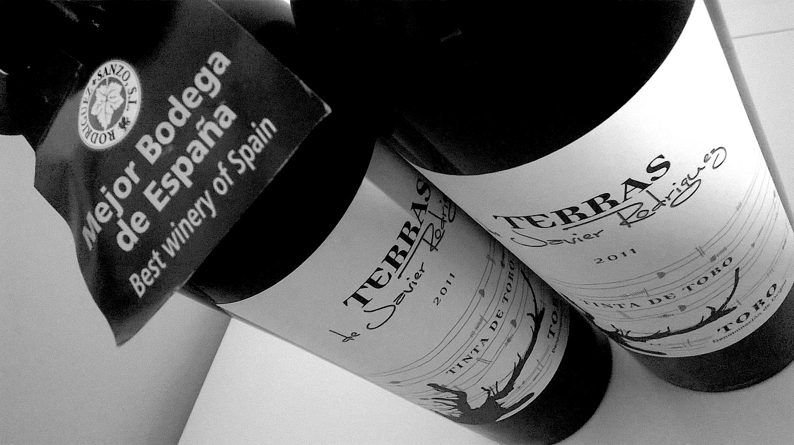 Javier Rodríguez Sanzo: Sus elaboraciones en la Península Ibérica están consolidadas