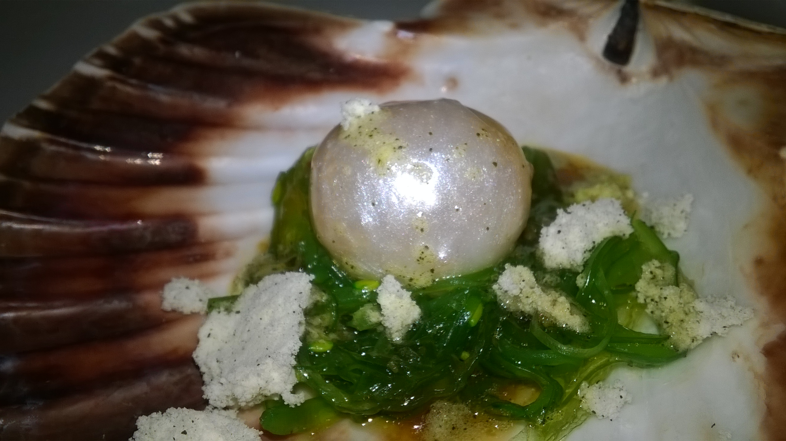 Welcome to paradise, welcome to Vila Joya