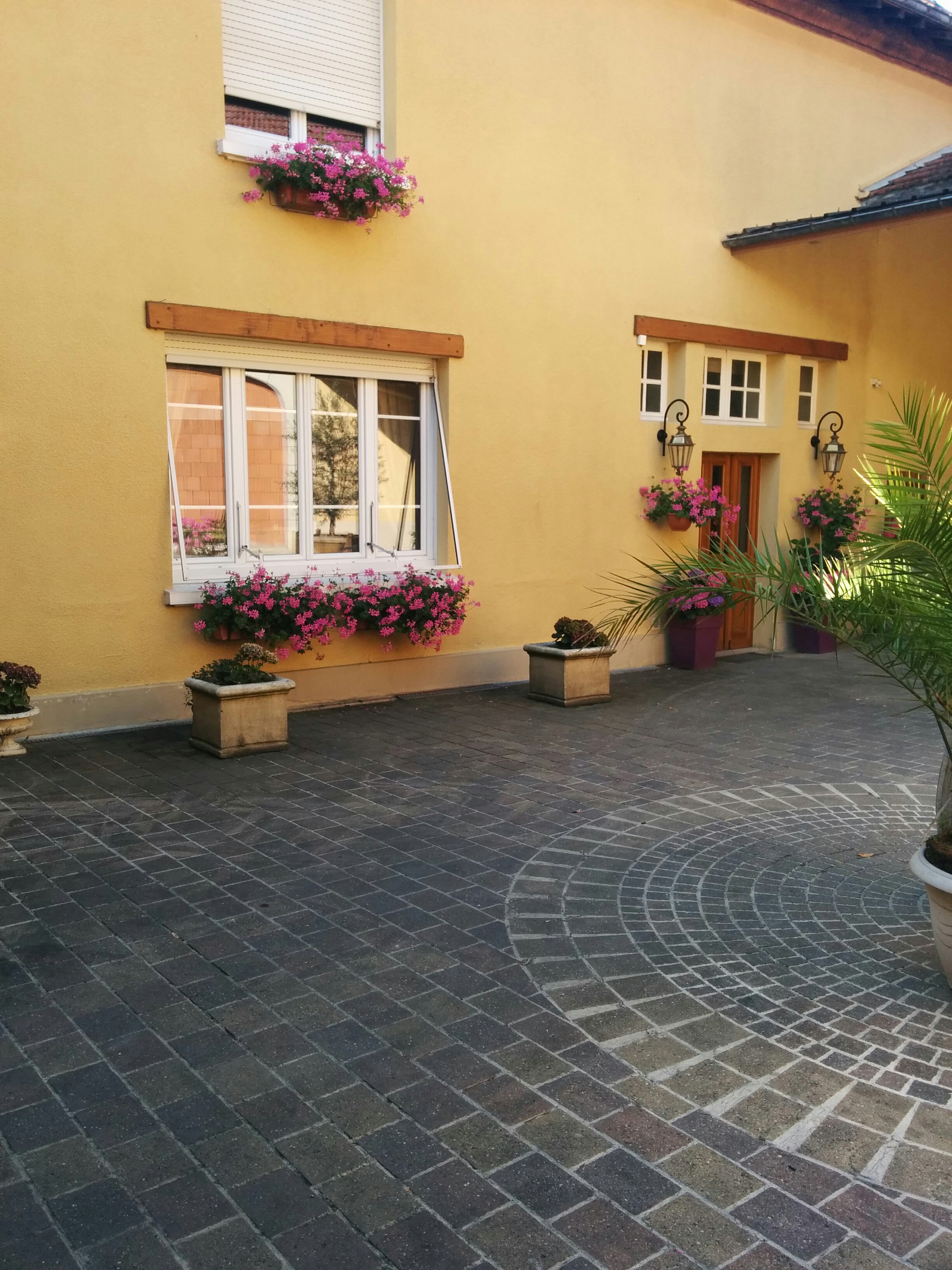 Escapada a Champagne III: Visita a Bodegas Marguet Pere et Fils