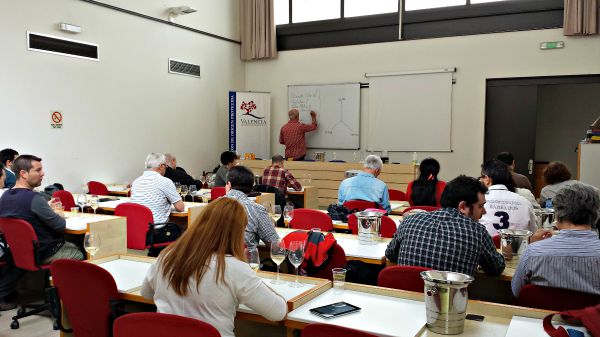 Master Sumiller Especialista en Vinos Valencianos por la D.O.P Valencia