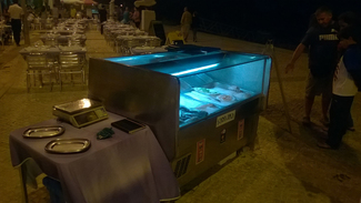 Aurelio_Gómez-Miranda_Algarve_Portimao_Casa_Bica_Sardinas (5)