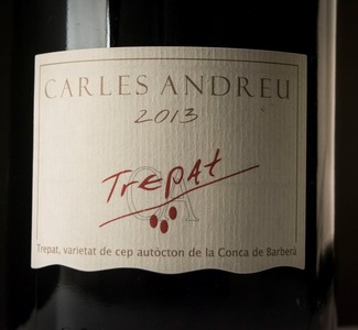 Carles Andreu Trepat 2013