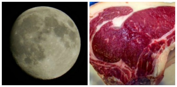 La carne y la Luna : primeros resultados