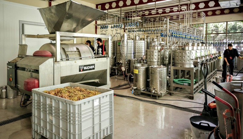 Nueva bodega de microvinificaciones de Bodegas Torres