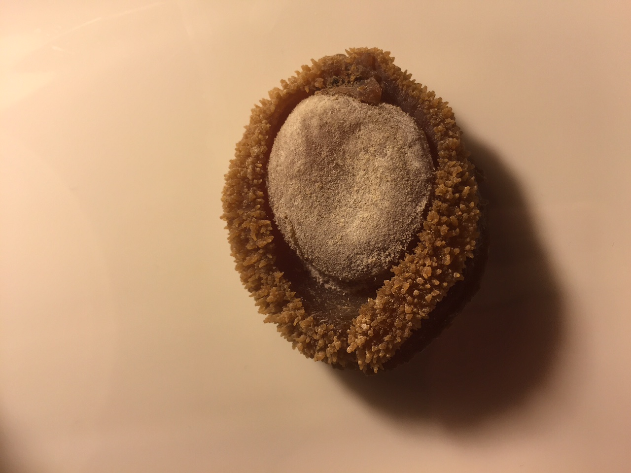 Haliotis u orejas de mar