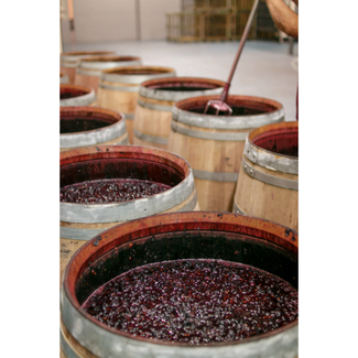 Proceso de elaboración