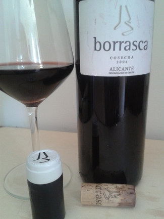 Borrasca 2004