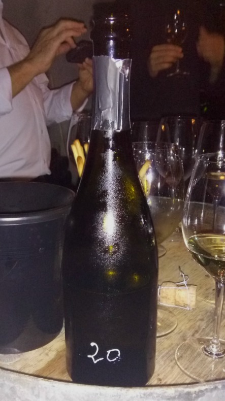 Visita a las cavas Maria Rigol Ordi