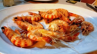 Langostinos. Restaurante El Bichero de Jerez de La Frontera