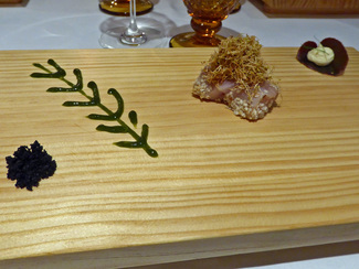 Sarda, codium, alfalfa frita, gel de alga, tierra de aceitunas negras