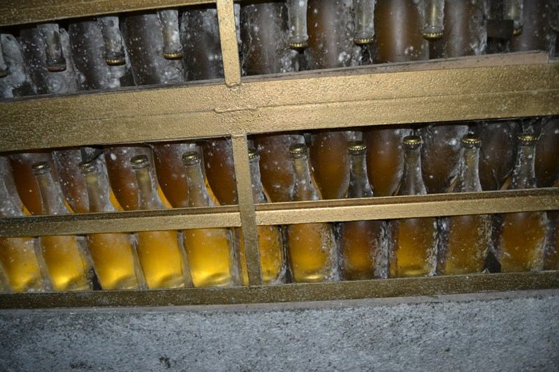 Tour de vinos desde Barcelona