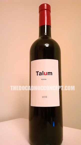Talum 2013