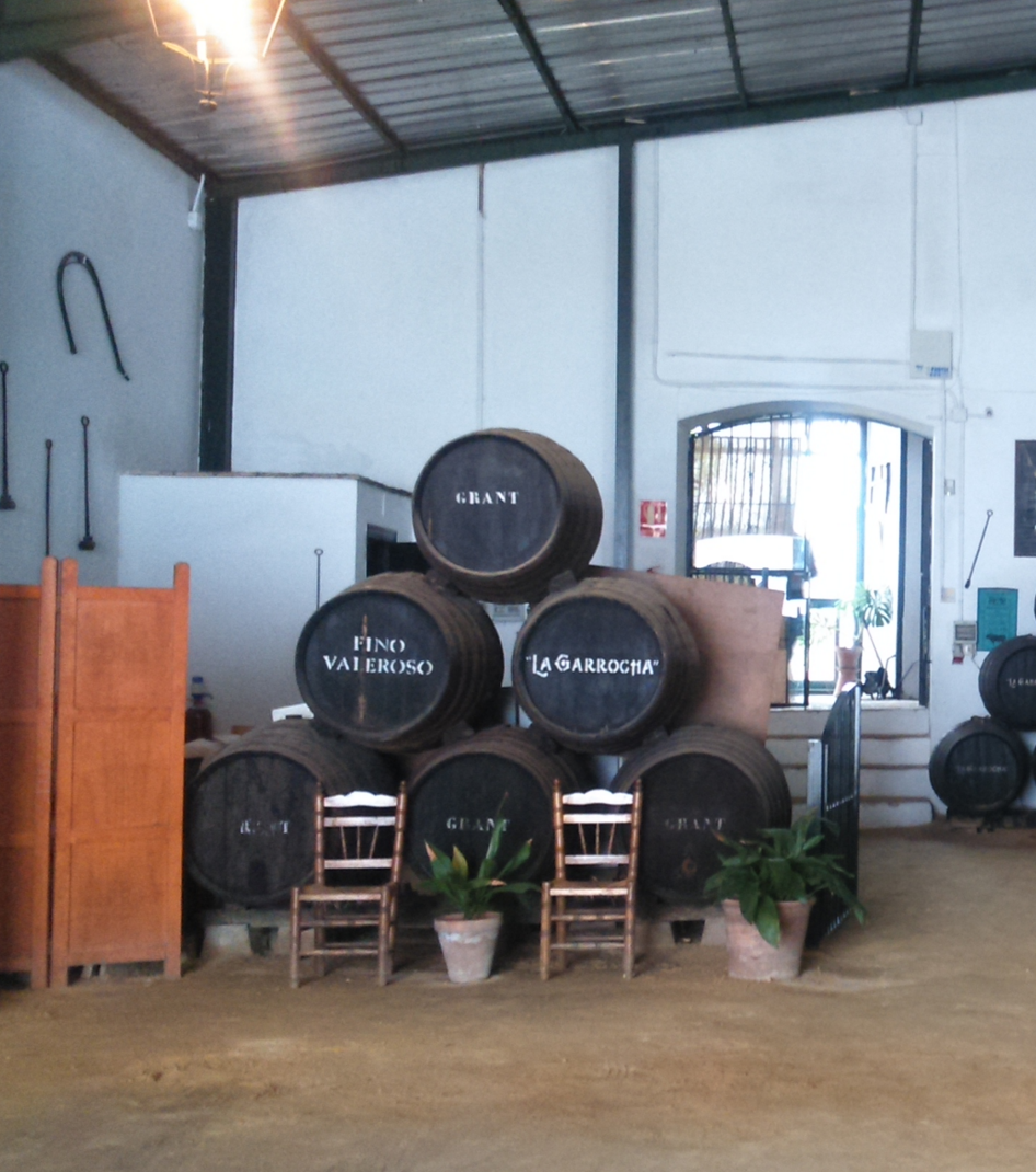 Vino y poesía ¡Andalucía mía!