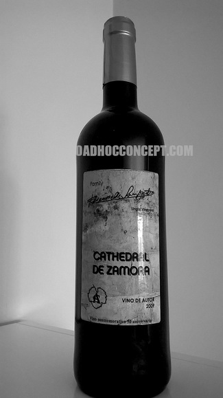 Cathedral Zamora 2009