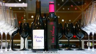 Viña Olmaza Crianza 2012