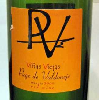 Pago de Valdoneje 2009