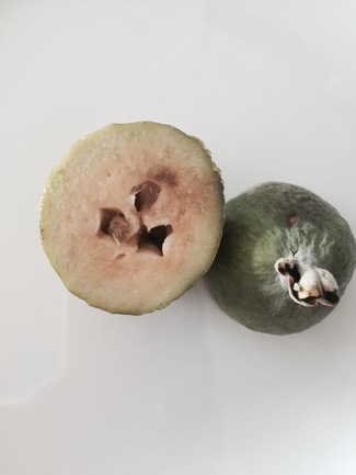 Feijoa, la fruta de la eterna juventud
