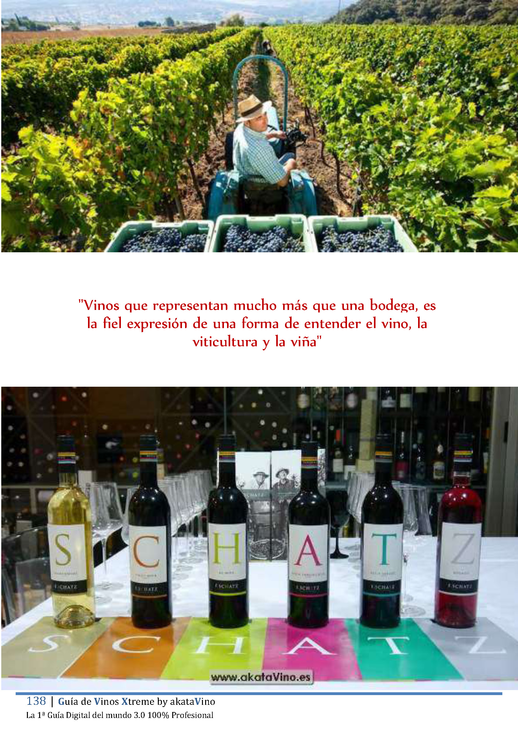 Bodega Friedrich Schatz La Biodinámica Top del Sur de España