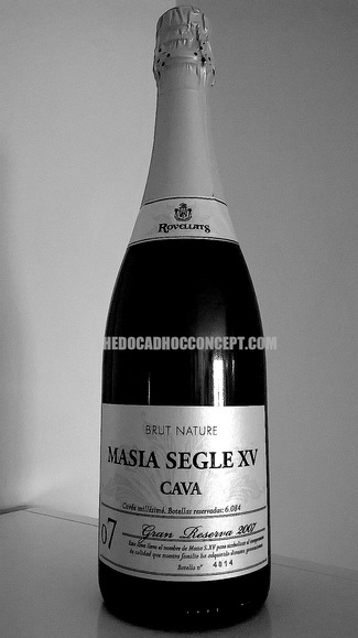 Rovellats Masia Segle XV 2007