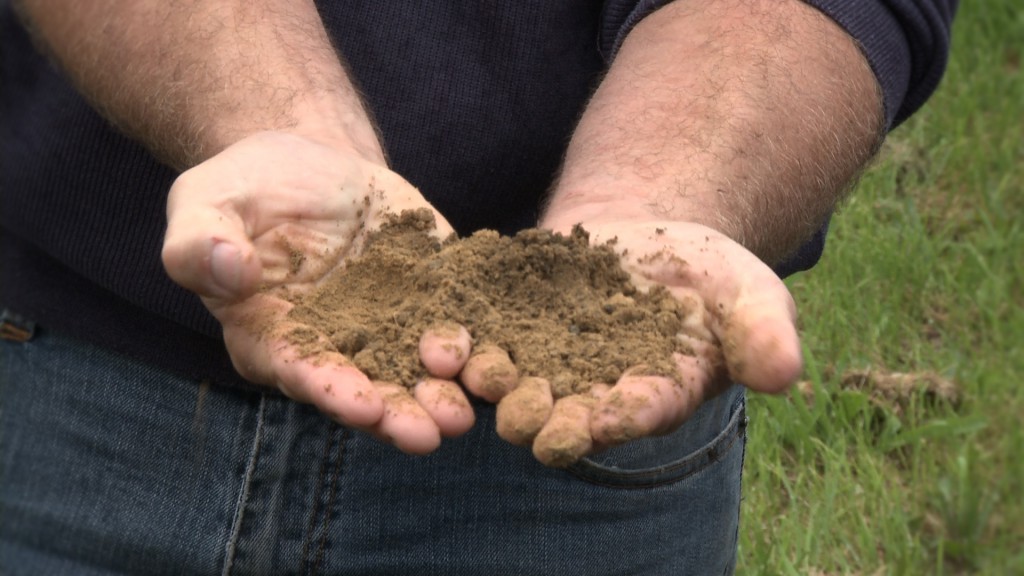 Champagne, vinos de Terroir