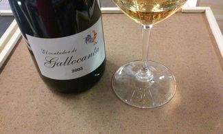 El Contador de Gallocanta 2003