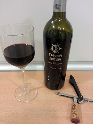 Dominio del Bendito El Primer Paso 2012