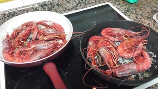 Los carabineros plancha