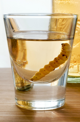 Para todo mal, mezcal, para todo bien, también
