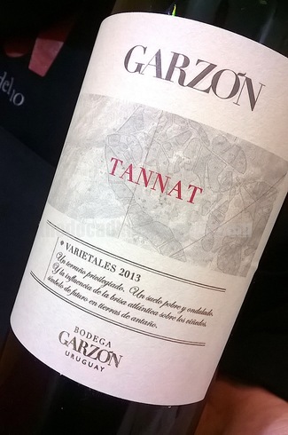 Garzon 2013
