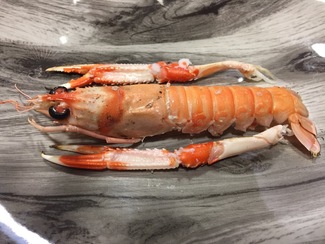 Cigala en costra de sal