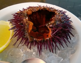 Aurelio_Gómez-Miranda_Ostras_Pedrín_Erizo