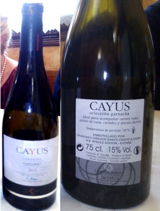 Cayus 2013