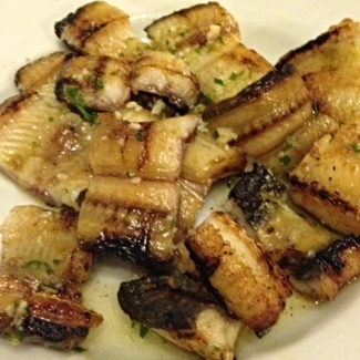 Xapadillo de anguila