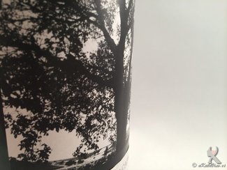 Pago de los Capellanes Parcela el Nogal 2011. ADOLESCENTE... Guía de Vinos Xtreme